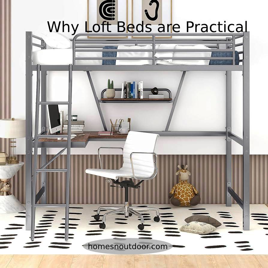 Why Loft Beds are Practical