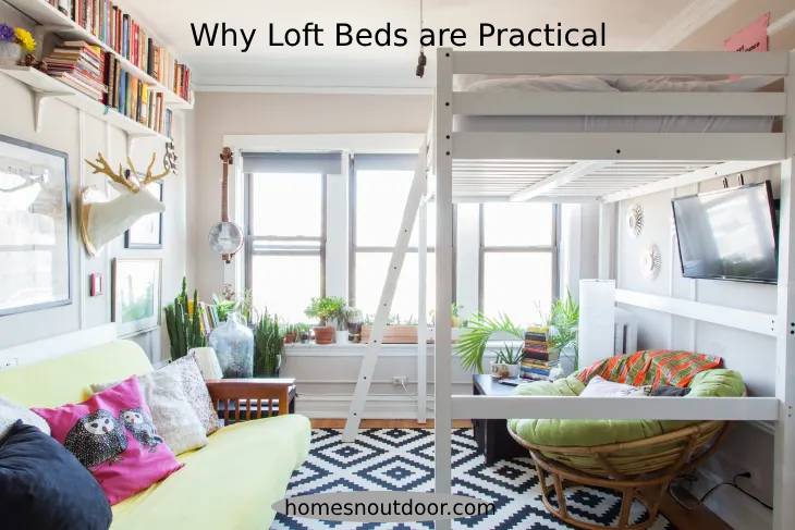 Why Loft Beds are Practical